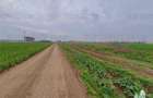 Teren de vanzare 4300mp  ( P+ 10 ) in Constanta / Zona Aurel Vlaicu - 6