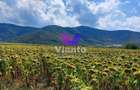 Teren Extravilan 900mp - Poplaca - 1