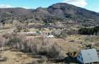 Proprietar, vand teren pt. case de vacanta (20.301mp) Rasnov, Brasov - 5