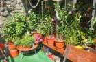Vila de vacanta de vanzare in Busteni - Zona Zamora - 45