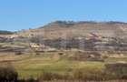 5 terenuri extravilane agricole cu suprafata totala de 13.374 mp - 3