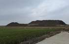 Teren intravilan Calea Sagului – 10.000 mp - 2