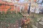 Apartament cu 3 camere de vanzare in Timisoara, zona Vladeasa - 19