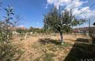 Teren intravilan de vanzare | Tileagd | jud. Bihor - 6