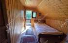 Cabana de vanzare pe Valea Avrigului - 3
