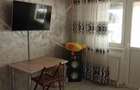 2 camere, etaj intermediar, Partial Mobilat, Viziru 3