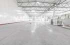 DEPOZITARE LOGISTIC OFFICE PRODUCTIE - 8