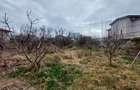 TEREN 1110mp  |  KAMSAS  |  CONSTANTA - 5