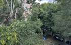 3 camere Lujerului - bld. Iuliu Maniu *centrala proprie* - 16