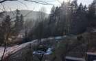 Teren 1925 mp, POT 40%, CUT 1,5-1,8, LANGA TELECABINA SINAIA - 8