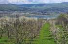 Pamant vanzare | Lac Zigoneni | Valea Lui Enache | Priveliște superba - 12
