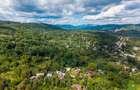 Teren 3.886 mp, Breaza - Podu Vadului, 30 m deschidere la asfalt - 8