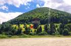 Teren intravilan 2500mp | Zărnești | Parcul Național Piatra Craiului - 8