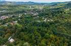 Teren 3.886 mp, Breaza - Podu Vadului, 30 m deschidere la asfalt - 6