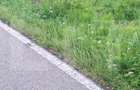 Teren de vanzare, 5800 mp, zona Jena - 7