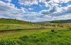 TEREN INTRAVILAN PANORAMIC, CU AUTORIZATIE CONSTRUCTIE, 684 MP, CIUGUD - 1