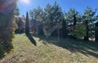 Vila in Faget, zona Vila Tusa, 400 mp, 2412 mp teren