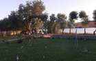 HORIA - 3 CAMERE ,SUPRAFATA 100 MP,TEREN 3000 MP CU DESCHIDERE LA LAC - 6