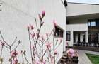 Vila P+E, proiect modern, zona 1 Mai - 1