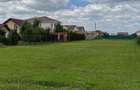 Oportunitate unică! 2 terenuri rezidențiale adjacente Moșnița Nouă, 780+780 mp - 4