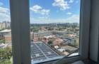 Apartament 4 camere Iancului-Magura Vulturului - 15