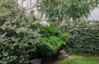 Apartament 2 camere Domenii/ Luxuria - 8