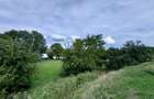 Hotel 20 camere Delta Dunarii 50 m deschidere teren 6000 mp acces auto - 48