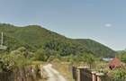 Zona Zavoile cu Luncuta Rusului - Teren intravilan- 2.930mp, Nasaud