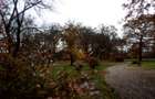Conacul Zichy, Domeniu de 7,8 Ha -de vanzare - 5