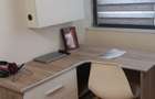 Apartament cu 3 camere zona Doamna Stanca - 10