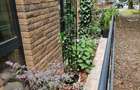 2 camere premium, 2 băi, dressing, terasă verde| Timpuri Noi | DirectProprietar  - 14