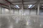 Spatiu Industrial - Apahida - 1600 mp Depozitare - ISU- Clasa A - 10