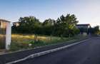 TEREN DE VÂNZARE IN ZONA STRĂULESTI-DOI COCOSI SEC.1 - 7