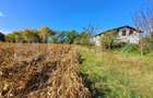Teren intravilan de 18927 mp, Hala P+1 250 mp, Ocna Mures - 3
