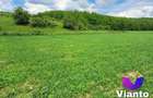 Teren Extravilan 500mp-Zona Turnisor - 4