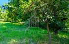 Casă de vânzare-teren 2.300 mp| Ocna Sibiului - 23