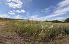 Teren 2900 m2 in Aiton ideal pentru investitie - 5