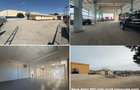 Hale Valea Lupului, zona Antibiotice, de la 334mp la 1000mp - 1