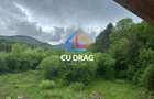 Investiție cu suflet: Pensiune de vânzare pe Valea Avrigului - 8
