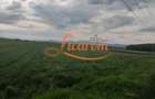 Teren Stupini Calea Feldioarei 4600 mp,21 euro/mp, front asfalt-DN13 - 8