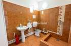 Inchiriere Hală Garaj/ Clădire de birouri-Teren 4000 mp – Carei - 12