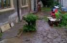 zona Bd. Cuza casa caramida cu teren=290mp ,4 cam 105mp construiti - 10
