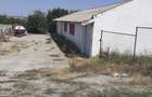 Hala - Valu lui Traian - 165.000 euro  (Cod E6) - 2