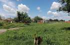 Afacere de vânzare: Fermă Avicola – Ialomița - 6