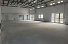 Spatiu comercial P+E in Catamarasti Deal - 3