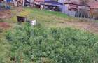 Casa individuala, teren 950 mp, Apahida - 8
