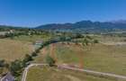 Teren Bran -Sohodol, Strada La mesteceni, 6900mp - 2