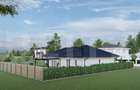 Teren 600 mp Parcelat în 3 Loturi – Ideal Investiție sau Construcție Paulesti - 3