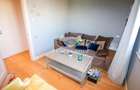 Penthouse deosebit 4 Camere Ultracentral | Terasa 115mp | 2 Locuri parcare - 20