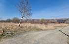 Oportunitate! Teren 8000 mp,parcelat ,cu PUZ ,Daia Noua, acces Dj 106 - 2